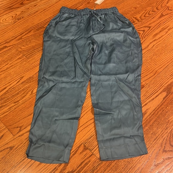 NWT Tucker Woman’s Dutch Blue In Cupro Twill Julia Pants Size S - Picture 2 of 6